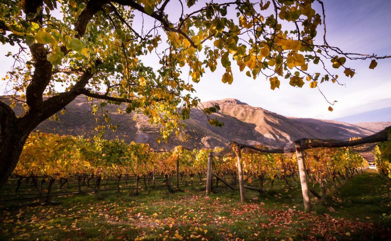 Gibbston Valley Lodge And Spa Queenstown Bagian luar foto